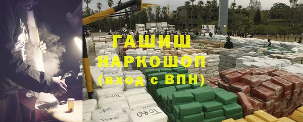 прущие грибы Горнозаводск