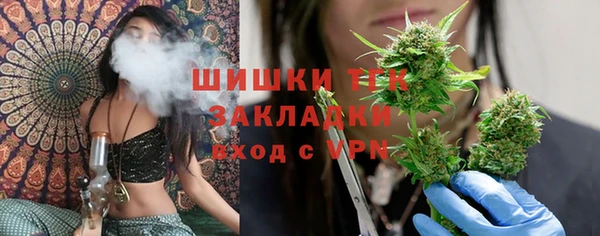 гидропоника Горняк