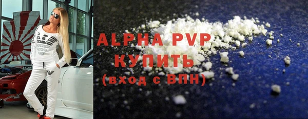 прущие грибы Горнозаводск