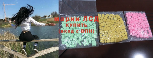 прущие грибы Горнозаводск