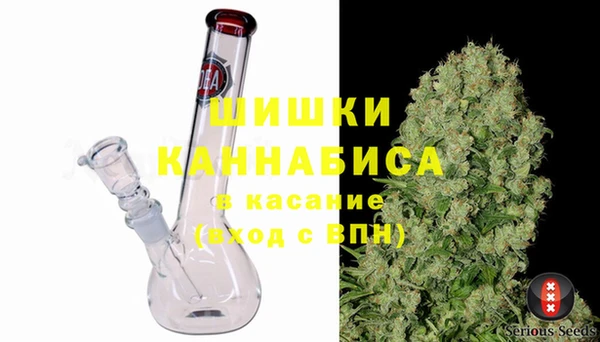 гидропоника Горняк