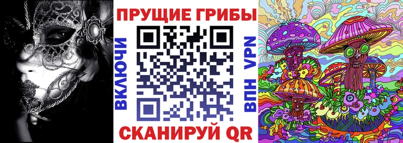 Купить  Нефтекумск  Псилоцибиновые грибы Psilocybe 